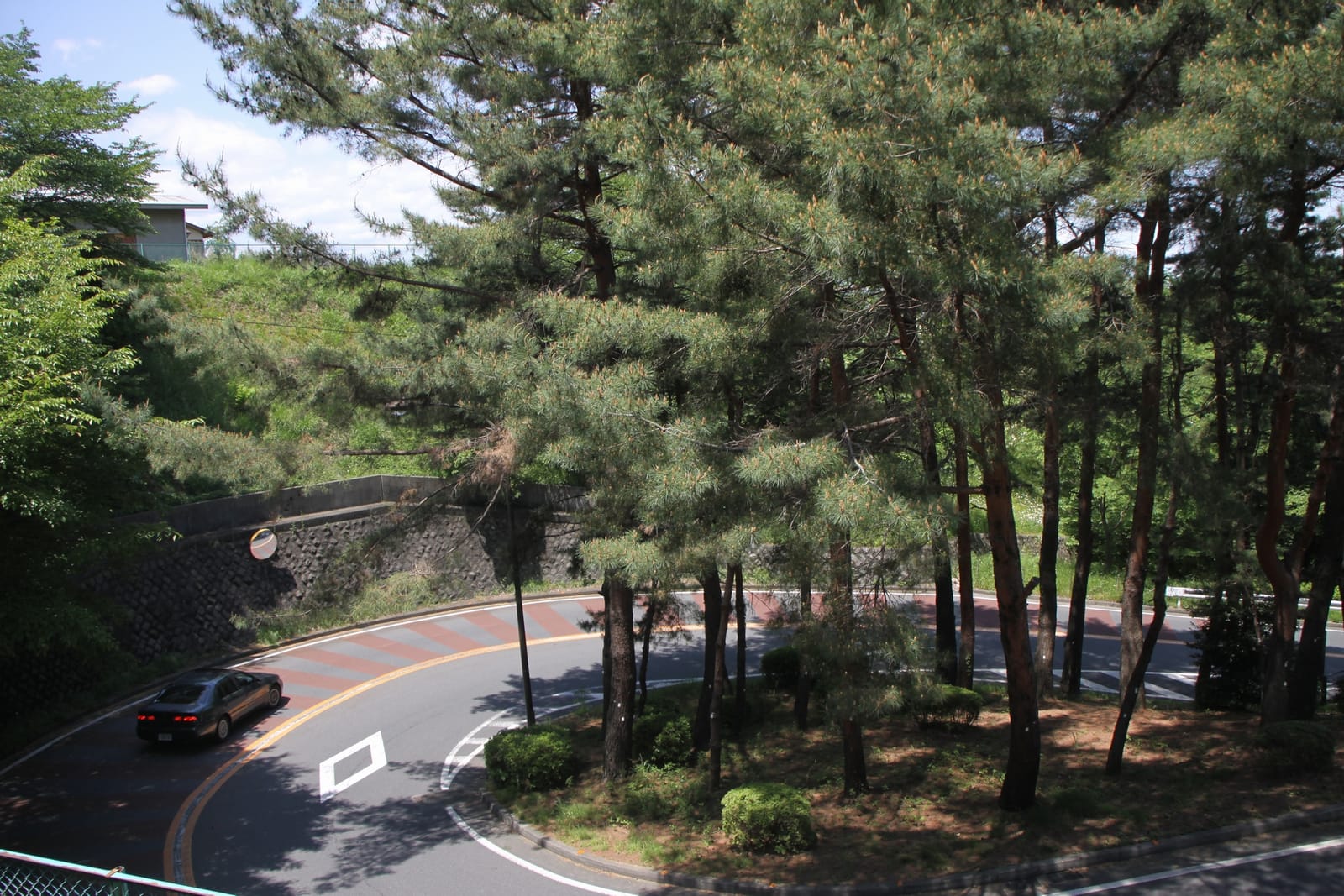A hairpin bend of the Irohazaka slope in Seiseki-sakuragaoka, shaded by pine trees