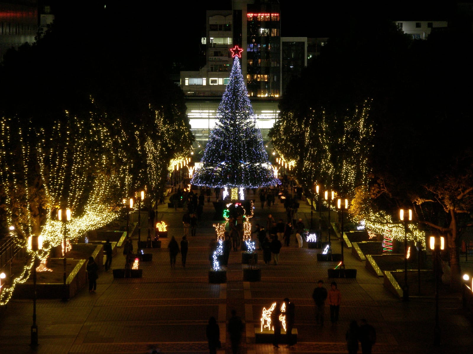 Tama Center's main pedestrian street at night, lined with lit trees and a large Christmas tree