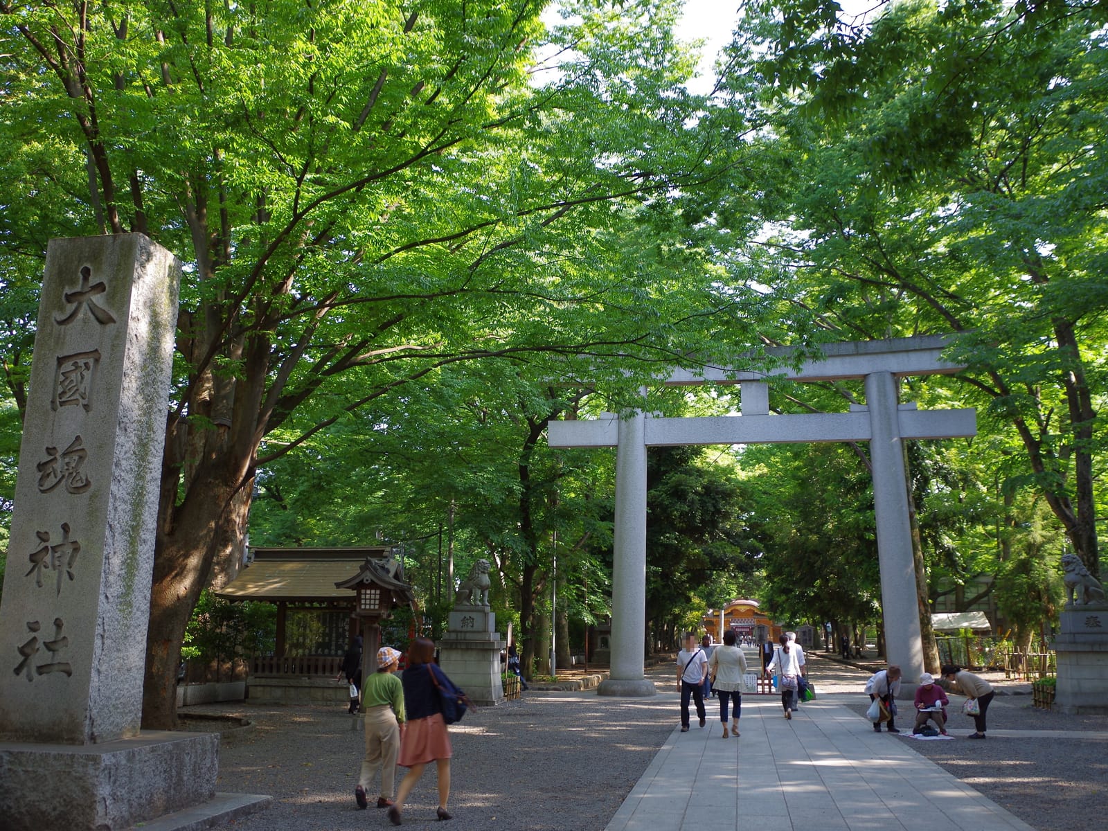 The stone torii gate of Okunitama Shrine framed by tall zelkova trees, with the shrine's name pillar on the left.