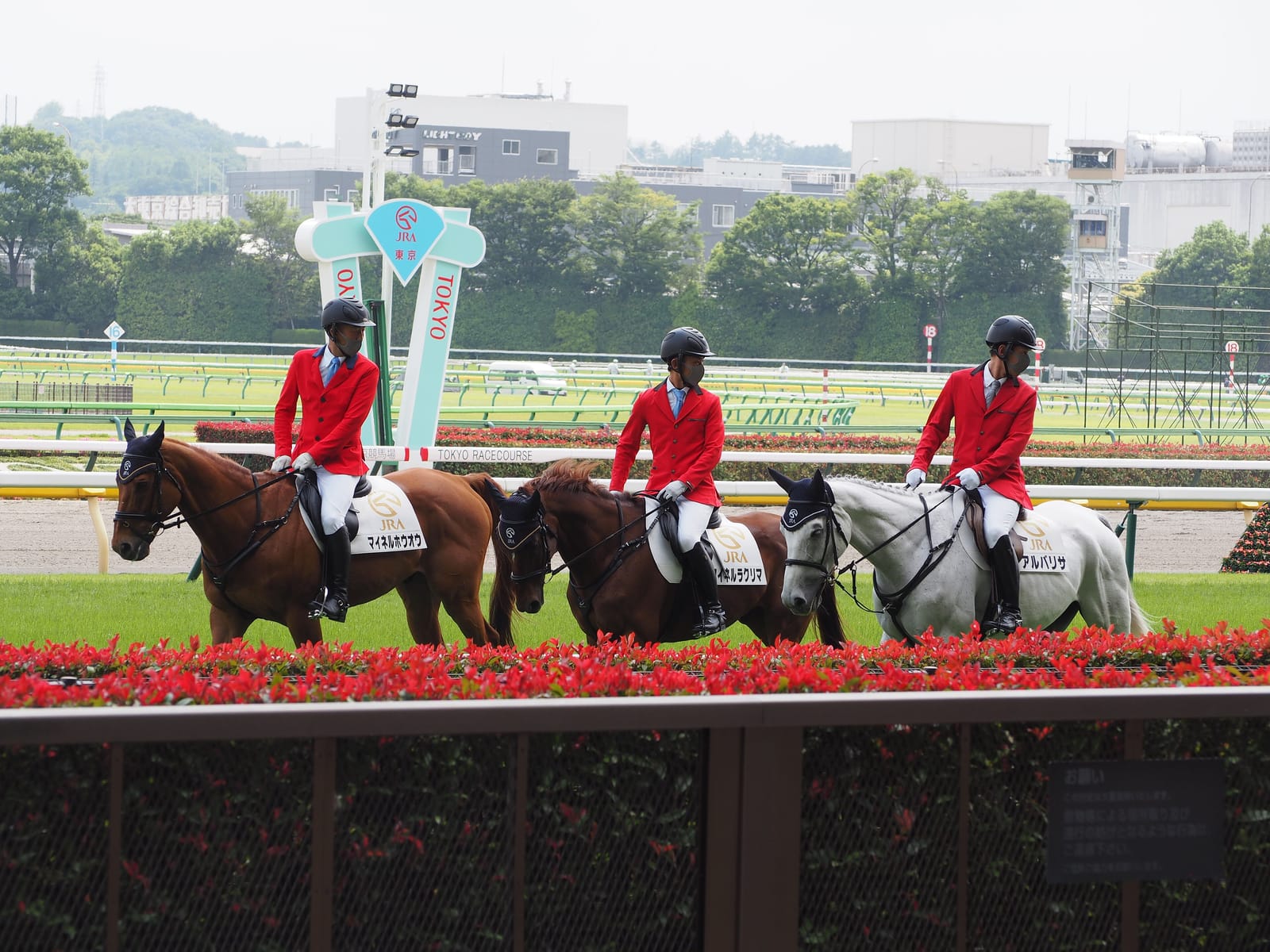 Lead ponies with riders in red jackets pass the winning post and red flowers at Tokyo Racecourse.