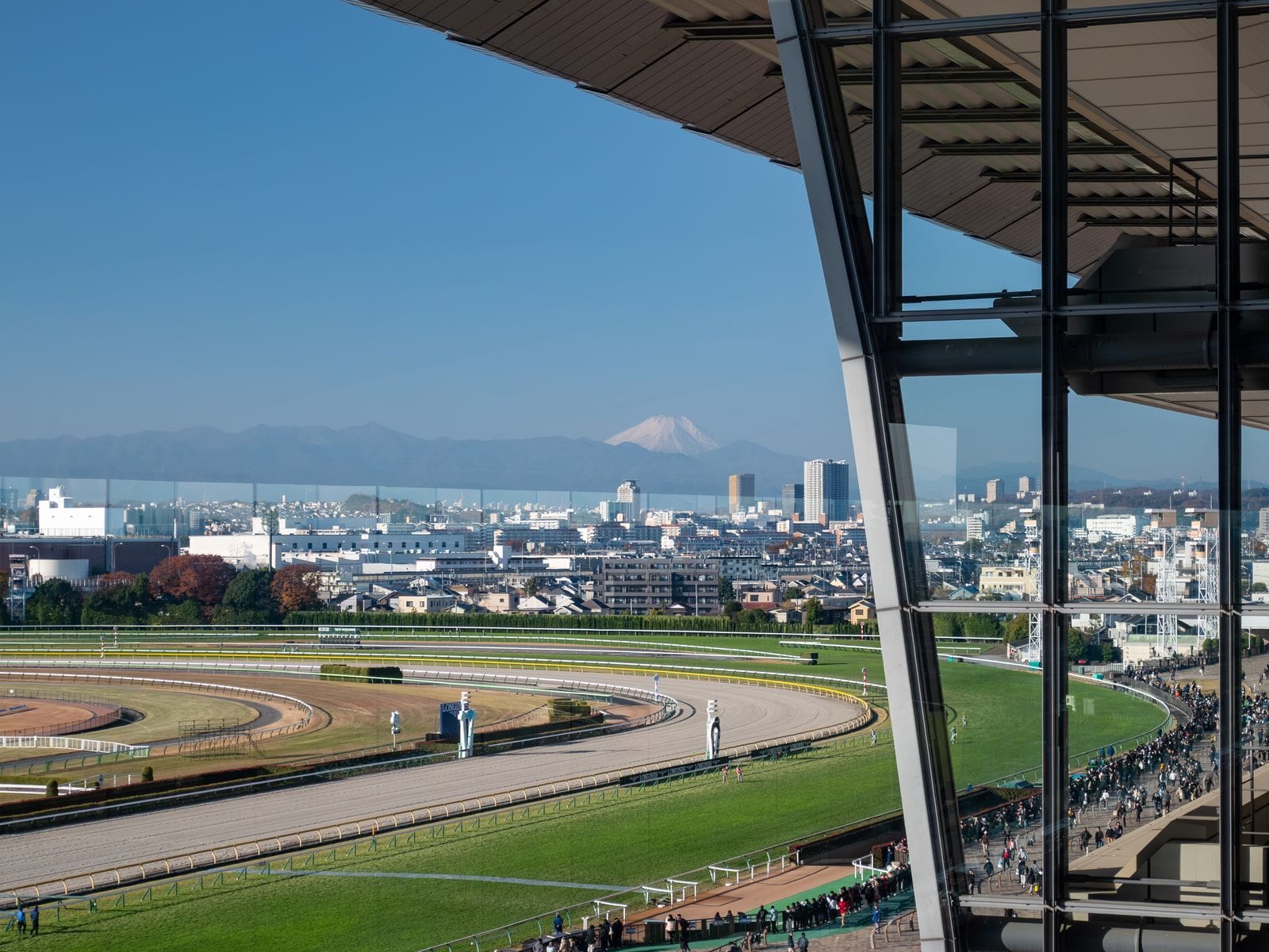 View west from an upper-floor reserved seat at Tokyo Racecourse, with Mt. Fuji beyond the track.