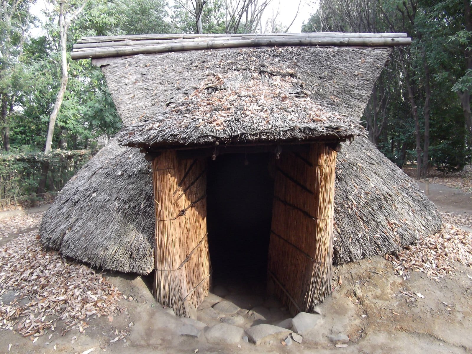 A reconstructed thatched pit dwelling in the Jomon Village garden in Tama