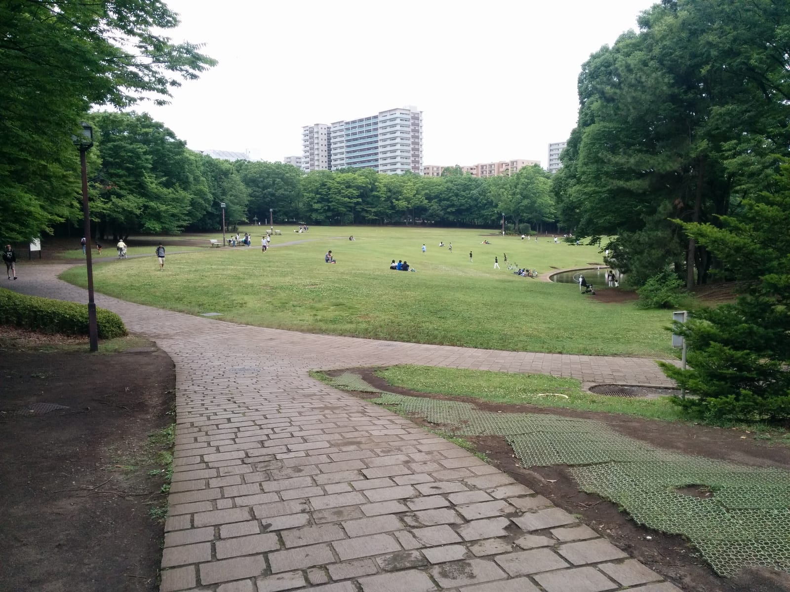 The large lawn of Tama Central Park, framed by trees and a curving paved path
