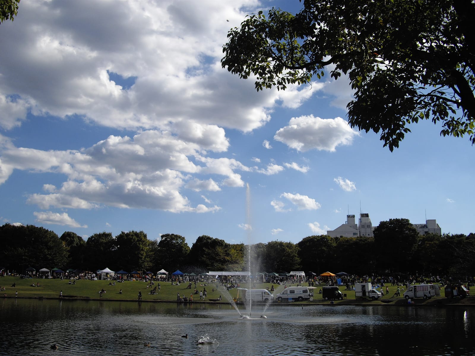 The large pond of Tama Central Park with its fountain, and the lawn behind under a blue sky