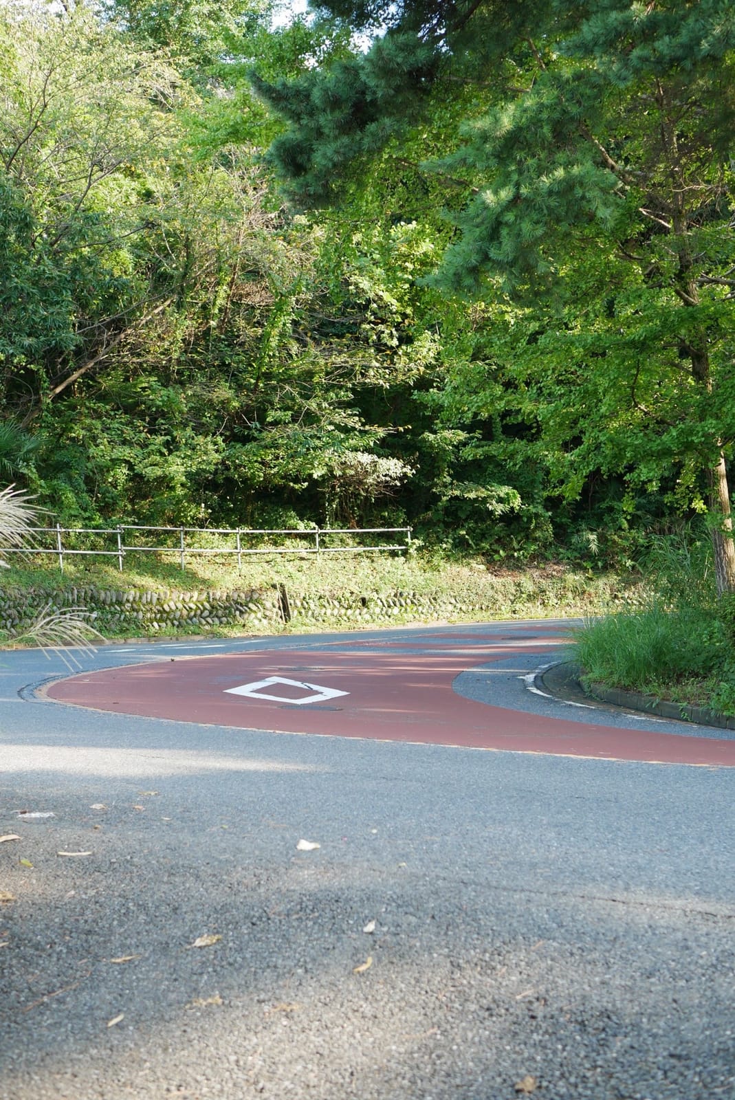 A hairpin bend on the Irohazaka road, painted red and surrounded by trees