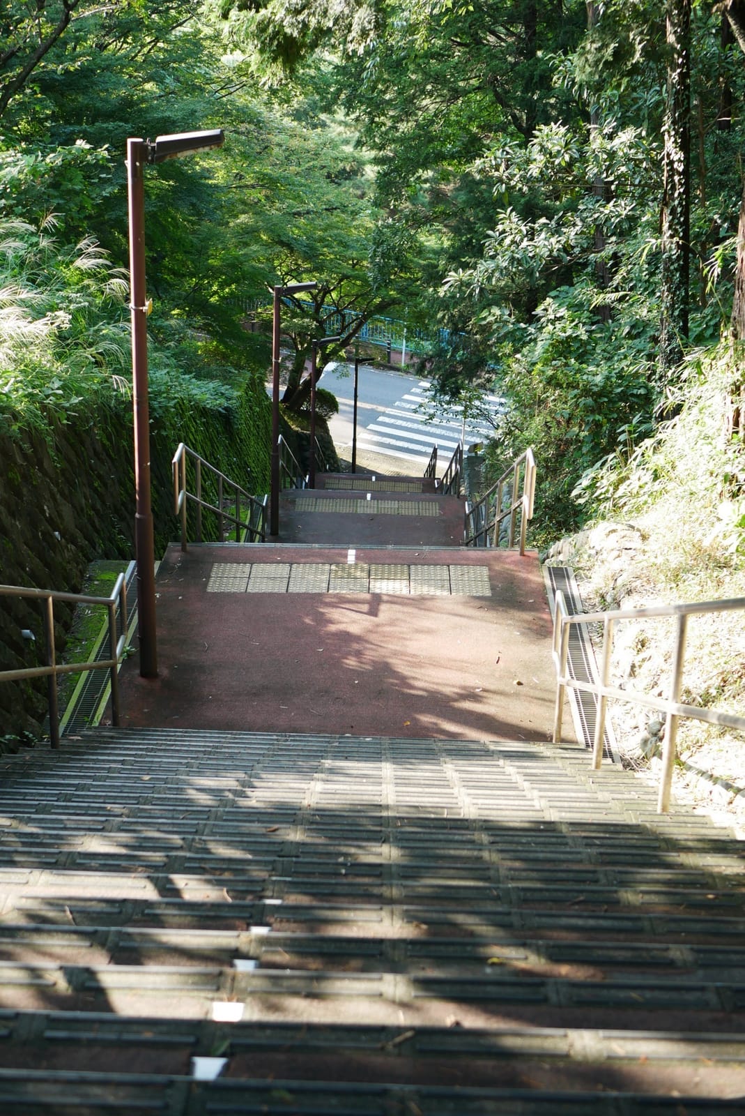 Looking down the Irohazaka stairs through the trees, with the road visible at the bottom