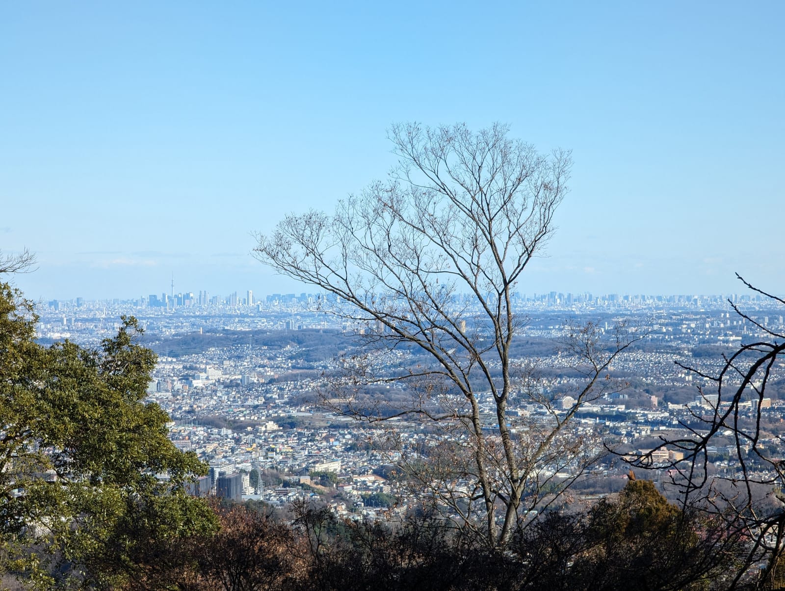 The view east from Mt. Takao over the Kanto Plain, with central Tokyo's skyline on the horizon.