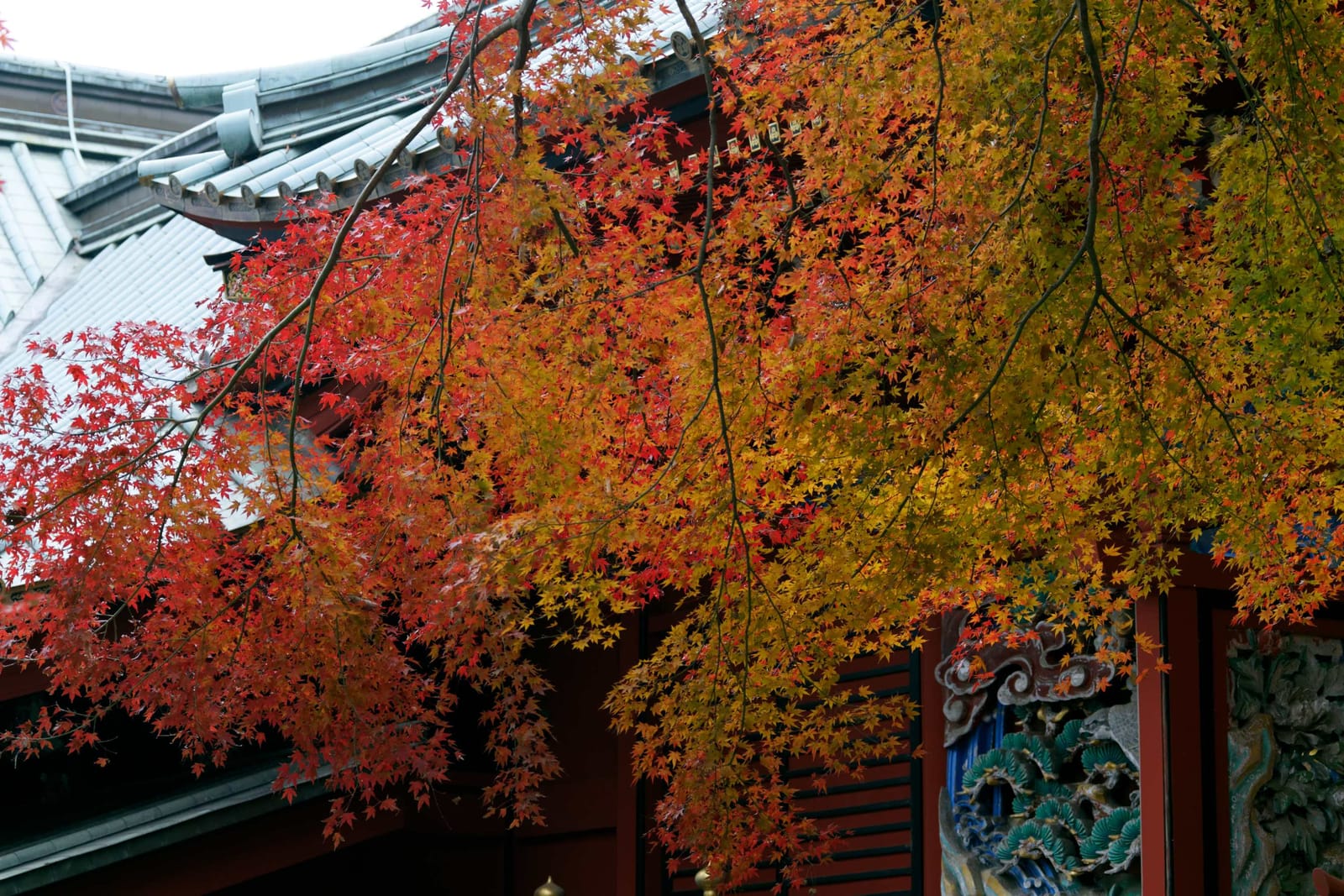 Red and orange maple leaves beside a carved, painted building at Yakuoin Temple.